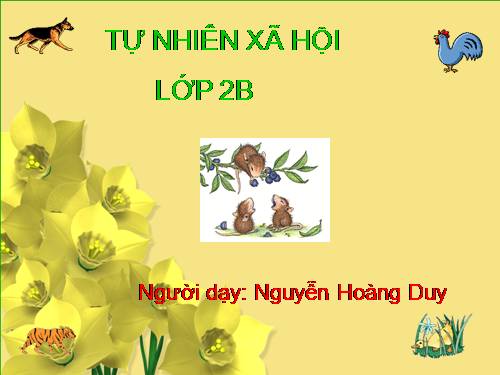 Bài 27. Loài vật sống ở đâu?