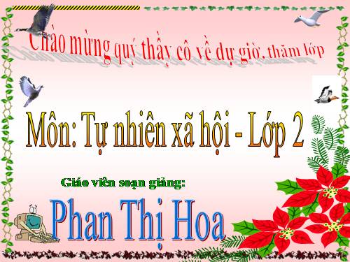 Bài 14. Phòng tránh ngộ độc khi ở nhà