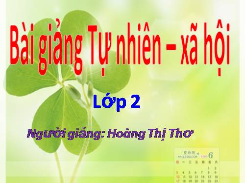 Bài 11. Gia đình