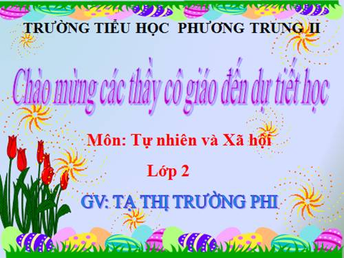 Bài 6. Tiêu hoá thức ăn