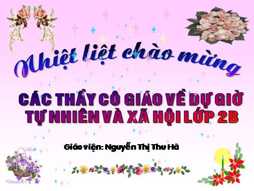 Bài 29. Một số loài vật sống dưới nước