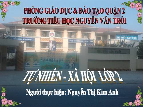 Bài 28. Một số loài vật sống trên cạn