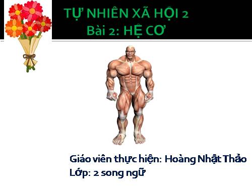 Bài 3. Hệ cơ
