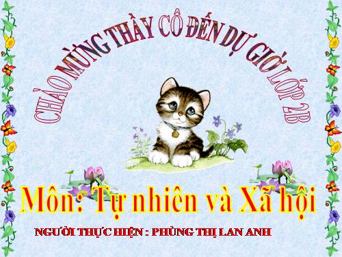 Bài 13. Giữ sạch môi trường xung quanh nhà ở