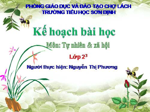 Bài 25. Một số loài cây sống trên cạn
