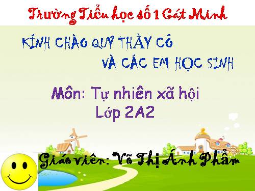 Bài 25. Một số loài cây sống trên cạn