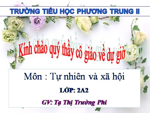Bài 8. Ăn, uống sạch sẽ