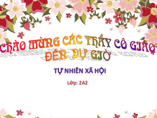 Bài 24. Cây sống ở đâu?