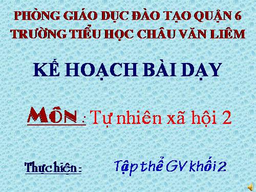 Bài 30. Nhận biết cây cối và các con vật