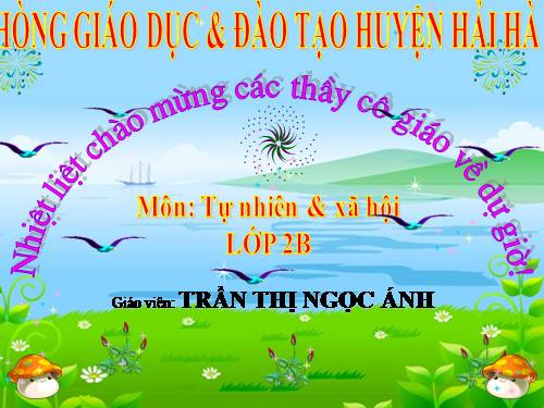 Bài 27. Loài vật sống ở đâu?
