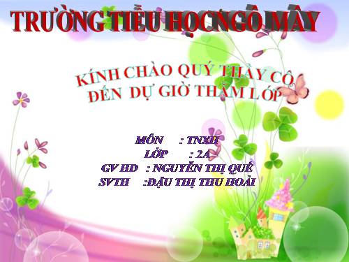 Bài 30. Nhận biết cây cối và các con vật