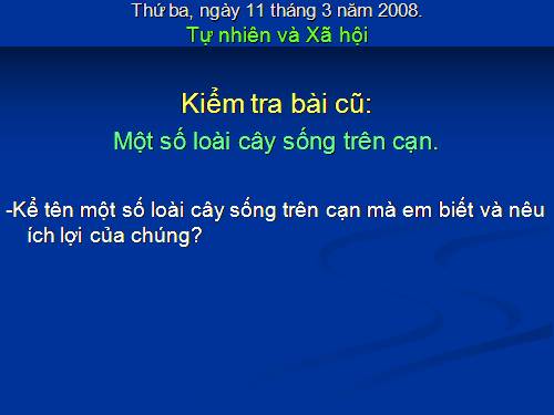 Bài 29. Một số loài vật sống dưới nước