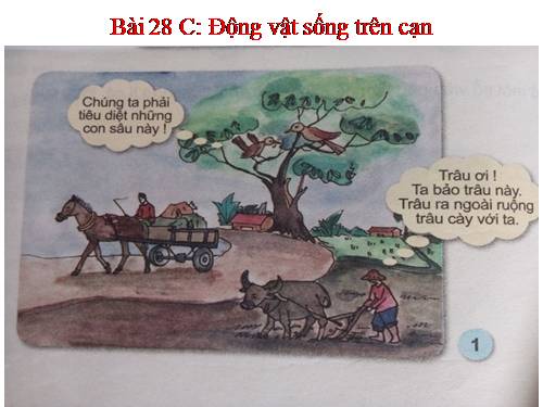 Bài 28. Một số loài vật sống trên cạn