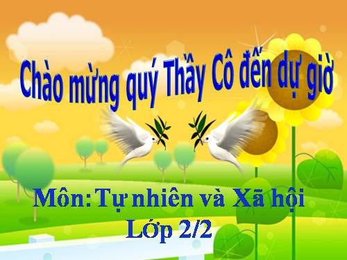 Bài 27. Loài vật sống ở đâu?