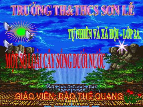 Bài 26. Một số loài cây sống dưới nước