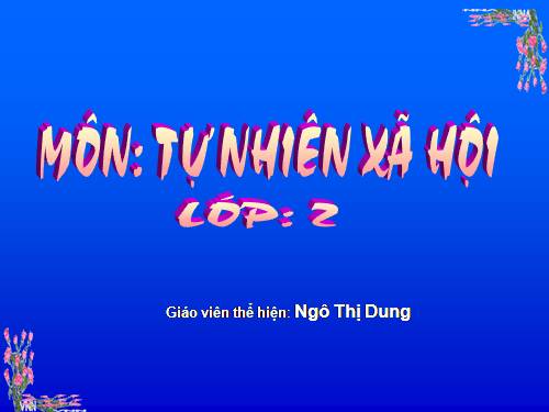 Bài 27. Loài vật sống ở đâu?