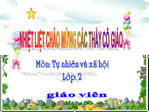 Bài 23. Ôn tập: Xã hội