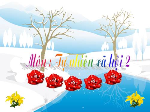 Bài 26. Một số loài cây sống dưới nước