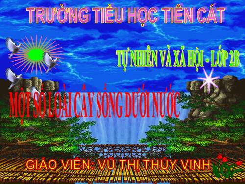 Bài 26. Một số loài cây sống dưới nước