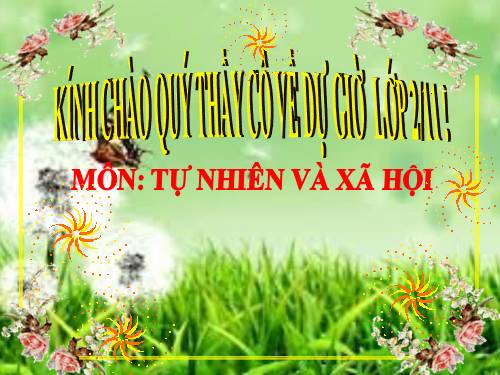 Bài 25. Một số loài cây sống trên cạn