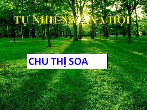 Bài 26. Một số loài cây sống dưới nước