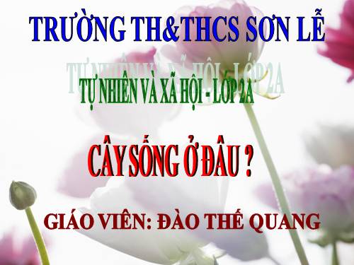 Bài 24. Cây sống ở đâu?