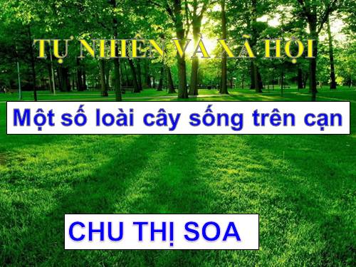 Bài 25. Một số loài cây sống trên cạn