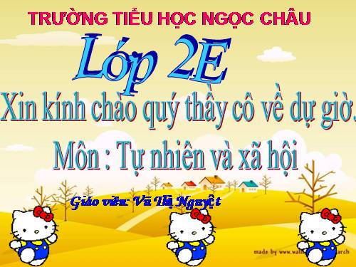 Bài 24. Cây sống ở đâu?