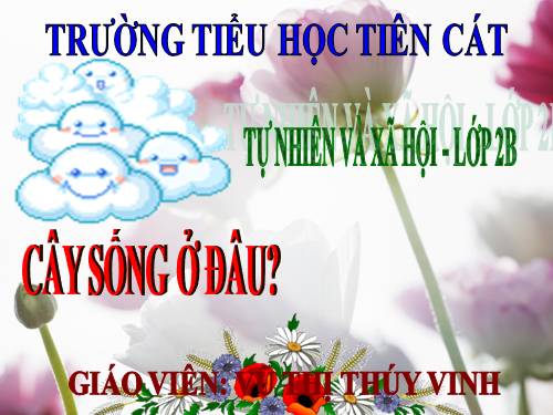 Bài 24. Cây sống ở đâu?