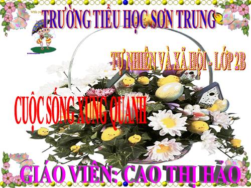 Bài 21. Cuộc sống xung quanh
