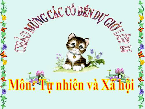 Bài 13. Giữ sạch môi trường xung quanh nhà ở