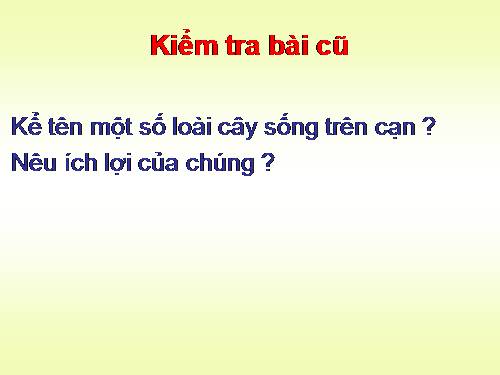 Bài 26. Một số loài cây sống dưới nước