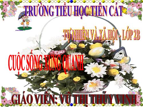 Bài 21. Cuộc sống xung quanh
