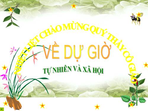 Bài 17. Phòng tránh ngã khi ở trường