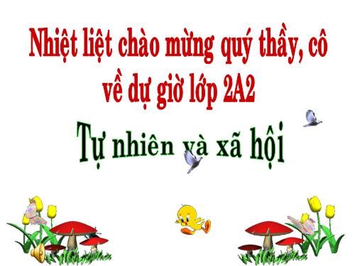 Bài 20. An toàn khi đi các phương tiện giao thông