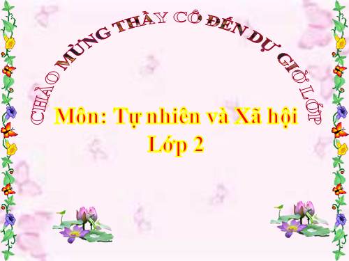 Bài 13. Giữ sạch môi trường xung quanh nhà ở