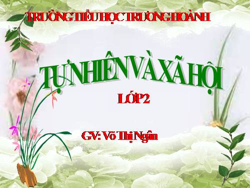 Bài 12. Đồ dùng trong gia đình