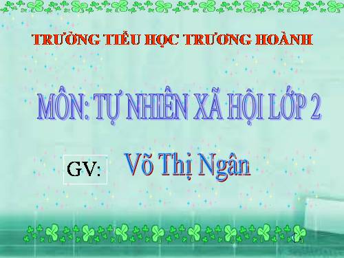 Bài 16. Các thành viên trong nhà trường
