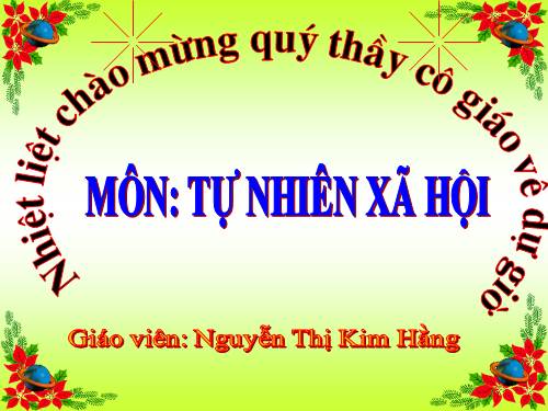 Bài 20. An toàn khi đi các phương tiện giao thông