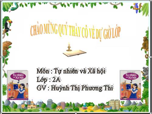 Bài 16. Các thành viên trong nhà trường