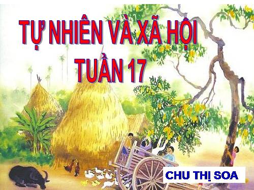 Bài 17. Phòng tránh ngã khi ở trường
