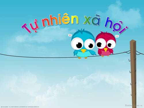 Bài 14. Phòng tránh ngộ độc khi ở nhà