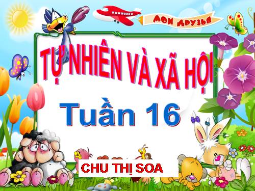 Bài 16. Các thành viên trong nhà trường