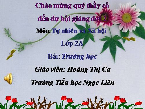 Bài 15. Trường học