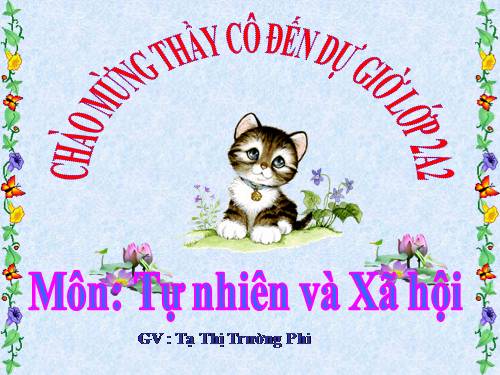 Bài 13. Giữ sạch môi trường xung quanh nhà ở