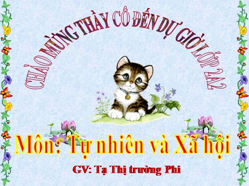 Bài 13. Giữ sạch môi trường xung quanh nhà ở
