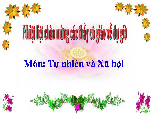 Bài 11. Gia đình