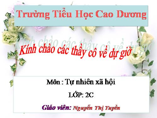 Bài 8. Ăn, uống sạch sẽ