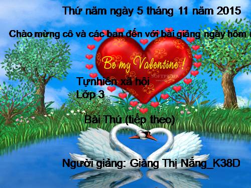 Bài 7. Ăn, uống đầy đủ