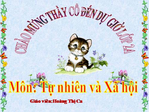 Bài 13. Giữ sạch môi trường xung quanh nhà ở